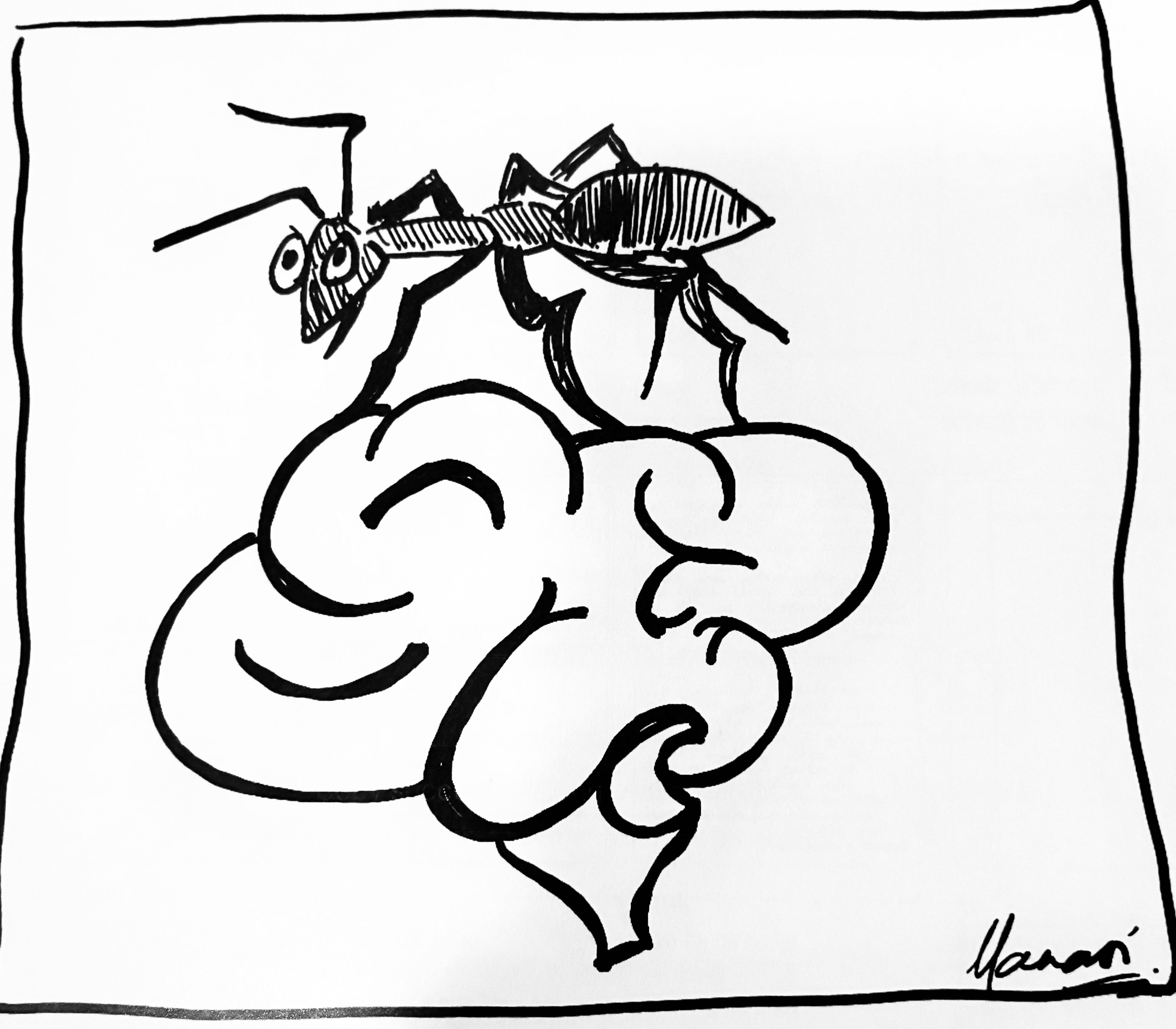 antinmybrain